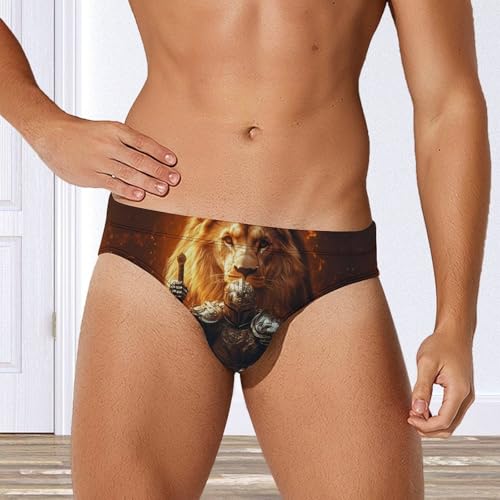Lion and Knights Printed Swim Briefs for Men Sexy Bikini Swimwear Elastic Beach Trunks Bathing Suit2