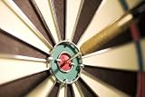 Dart Store Soft Steel Tip Darts Start Up Shop Sample Business Plan NEW! (English Edition)