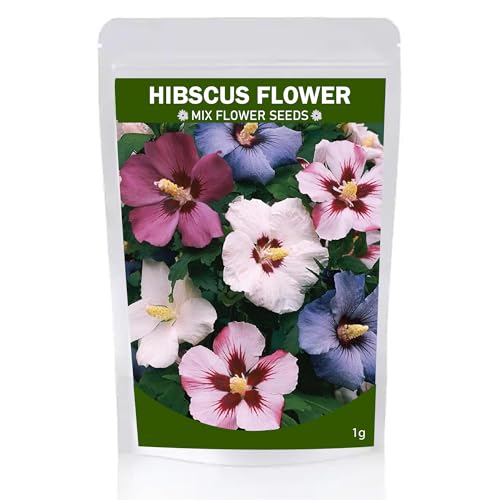 Mix Hibscus Flower Seeds for Planting | Multi Color Hibscus Flower Seeds for Growing in Home Garden Office