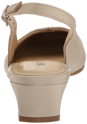 Image of Trotters