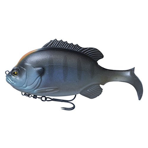 秋のブラックバス スイムベイトおすすめ１０選 使い方と秋バス徹底攻略