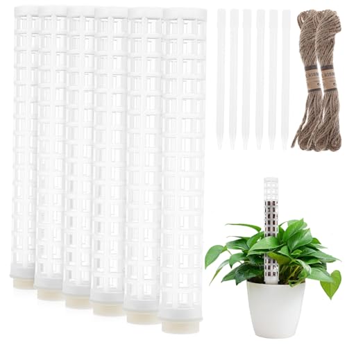 VALICLUD 6個 水苔柱子 ロープ付きプラスチック製植物支柱 モンステラやる性観葉植物の登攀サポート用 簡単設置で成長促進に