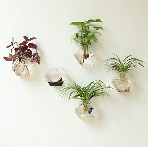 Fashionstorm Home Decor Wall Decorations Geometric Sixangle Glass Vase Wall Sticked Planters Flower Pots/water Planter Vase
