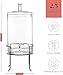 Style Setter Beverage Dispenser with Stand - 2.5 Gallon Large Countertop Glass Drink Dispenser w/Spigot & Lid - Party Drink Dispenser for Sweet Tea Lemonade Punch Water, Juice Dispensers for Parties