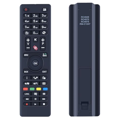 GOUYESHO Télécommande de Rechange pour décodeur CGV Premio Sat E-Sat HD-W3/HD-W4/HD-W5（Ne s'applique Pas au CGV Premio Sat HD-W3 ）