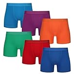 The Essentials Wardrobe 6PK Mens TEW Premium Boxer - Bamboo - Bright - Large