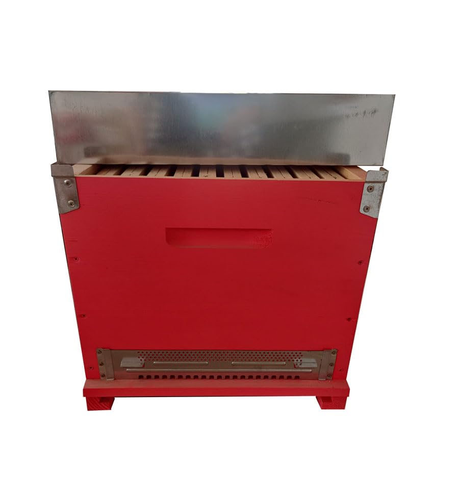 Arnia Completa per Api - Arnia Cubo (Box) 10 favi Completa di telaini - Apicoltura - Arnia per Api