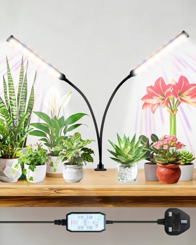 Lampe pour plantes d'intérieur à minuterie 4/8/12h pour réussir vos semis sur l'étagère