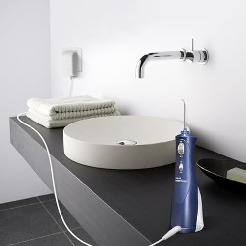 Caricatore a due pin per Waterpik Cordless Plus Water Flosser WP-450 WP-450W WP-450C WP-450EC