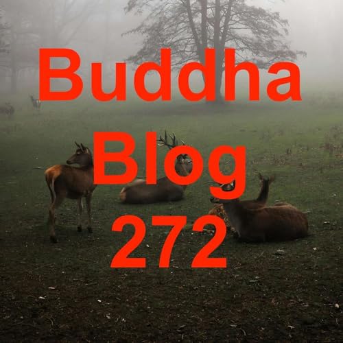 272-Erfolge feiern-Buddha Blog Podcast-Buddhismus im Alltag
