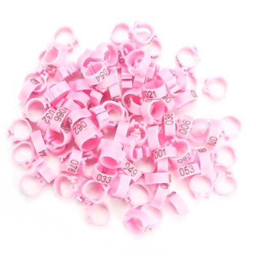 100PCS Bandes Jambe Plastique Lettrées Oiseaux Adultes