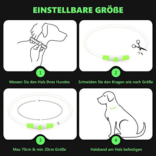 SerDa-Run Leuchthalsband Hund, LED Halsband für Hunde, Einstellbare Größe, DREI Lichtmodi, Sicherheit für Ihren Hund in der Nacht