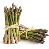 SAVINI VIVAI L'ARTE DI FARE NATURA