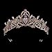 Fancy-J Tiara Crowns for Women Girls Crystal Headband Princess Rhinestone Crown Bride Headbands Hair Accessories Jewelry Bridal Wedding Birthday Party Prom