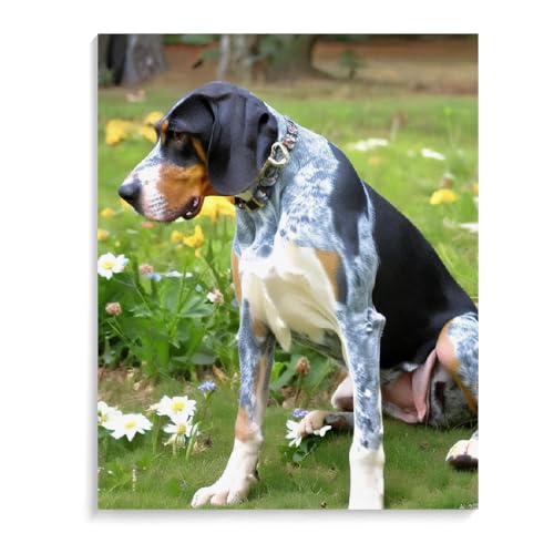 Paint by Numbers Bluetick Coonhound Dog DIY Acrylic Painting Kit with Brushes Pigment Oil Painting Artwork Adults Beginners Wall Decor 20x24inch(50x60cm) Frameless