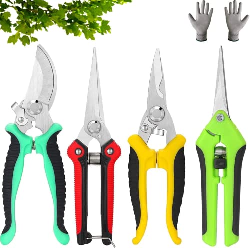 DMG Garden Pruning Shears, 4 Pcs Garden Professional Secateurs, Handheld Scissors Set with Gardening Gloves, Heavy Duty Garden Bypass Pruning Shears, Tree Trimmers Secateurs, Fruit Tree Pruning Shears