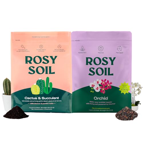 Rosy Soil Cactus Orchid Bundle