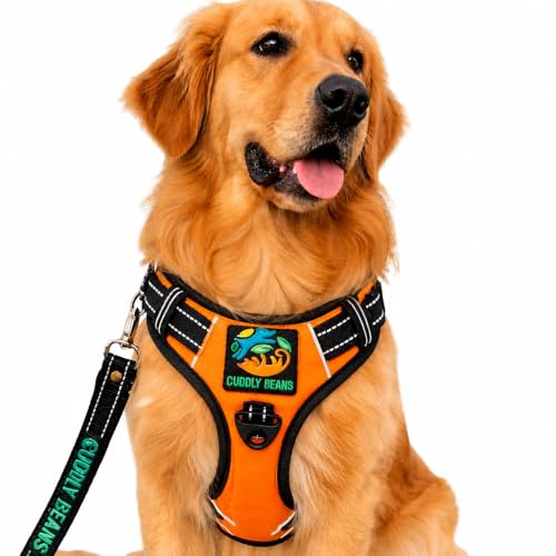 Image of Adjustable Padded Dog Harness with Leash | Comfortable Walking Harness for Dogs | Orange | Size L | Suitable for Dogs 25-35 kg