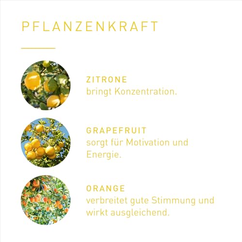 PRIMAVERA Kids Leichter lernen Duft Roll-On bio 10 ml - Zitrone, Grapefruit und Orange - Aromaöl, Duftöl, Aromatherapie für unterwegs - konzentrationsfördernd, motivierend - vegan