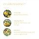 PRIMAVERA Kids Duft Roll-On Leichter lernen bio 10 ml - Aromaöl, Duftöl, Aromatherapie für unterwegs - konzentrationsfördernd, motivierend - vegan