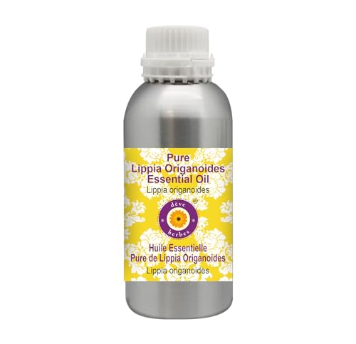 Huile essentielle de Lippia origanoides distillée à la vapeur pour assainir l'air