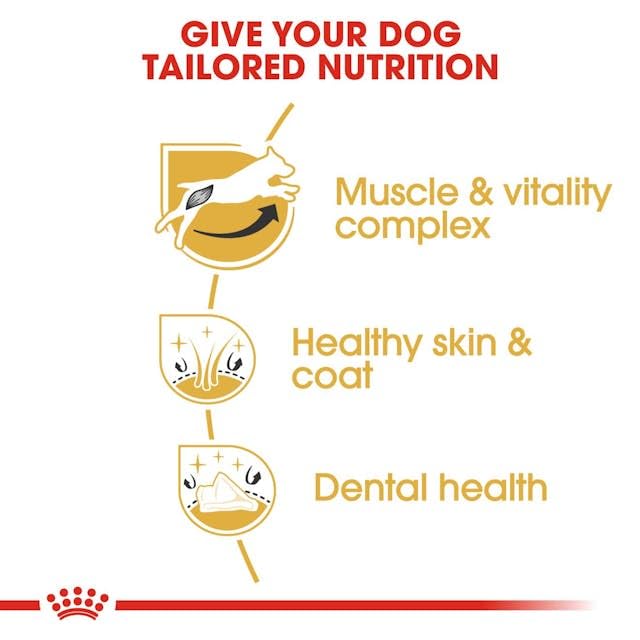 ROYAL CANIN Jack Russell Terrier Adult | 3 kg | Trockenfutter speziell für ausgewachsene und ältere Jack Russell Terrier - ab dem 10. Monat | Zur Erhaltung der Muskelmasse