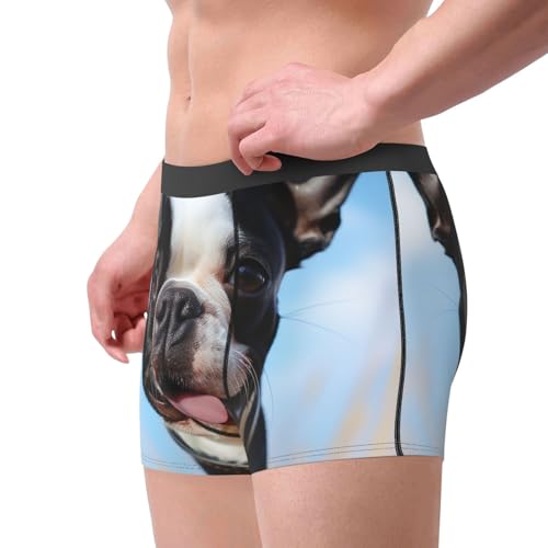 Lovely Boston Terrier Men's Underwear Boxer Briefs Breathable Stretch Boxers Moisture-Wicking Trunks for Men4
