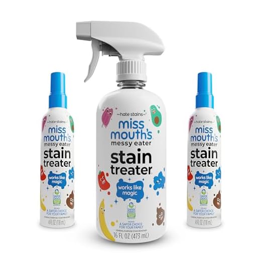 Stain Treater Spray 2-Pack