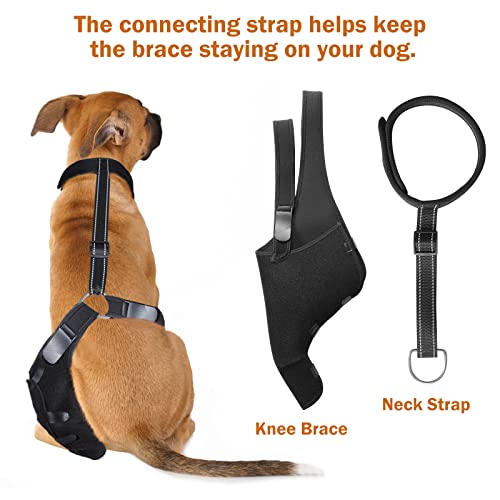 Image of Dog Knee Brace for ACL, Knee Cap Dislocation, Arthritis - Full Wrap - Easy Adjustable - Extra Support - Reduces Pain and Inflammation - Full Sizes