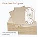200 Eco Friendly Recycled Bar Biodegradable Napkins 5x5in Beverage Compostable