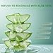 Fuveuua Organic Pure Aloe Vera Gel - Soothing Cooling Gel for Sunburn Relief & sun burnt after-sun gel for skin Face hair | pure 99% Plant-Derived, | 7.05oz, Gentle for All Skin Types