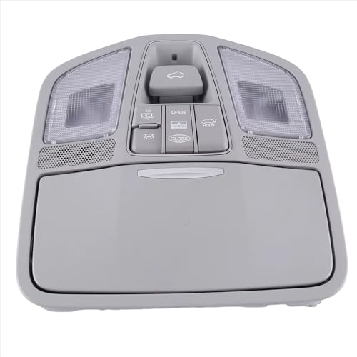 Lámpara de lectura de techo para Santa Fe DM 2017 luz interior de coche 928002W610