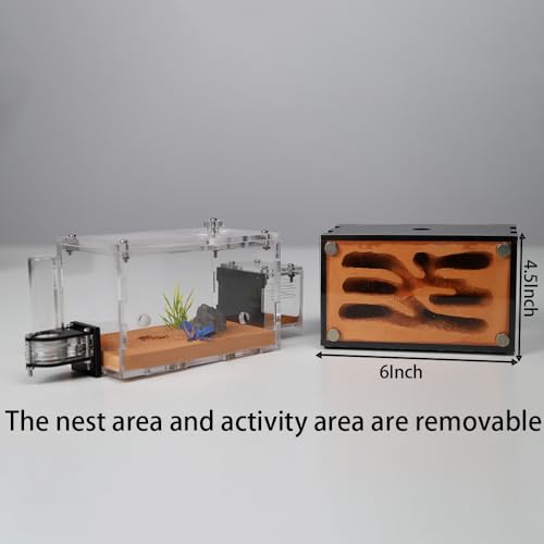 Comparativas de Hormigonera umacon más recomendados. 26 Imagen adicional