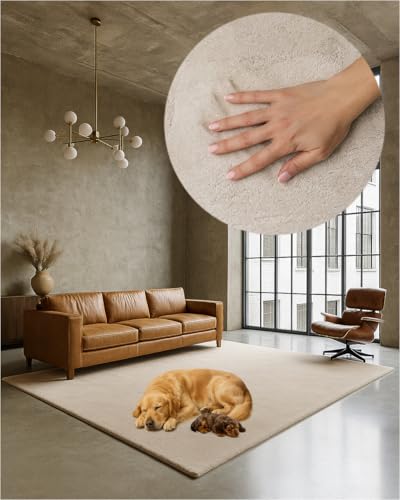 TEXMAXX Weicher Kurzflor Teppich Wohnzimmer mit rutschhemmender Rückseite (160 x 230 cm) - Modern für Flur, Esszimmer und als Schlafzimmer Teppich in Beige dunkel - Waschbar bis 30 Grad