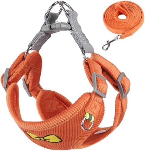 KOKUMON  L [VX[u U \tgbV ʋCxXg ^Lp  EȒP pbh  h~ [h