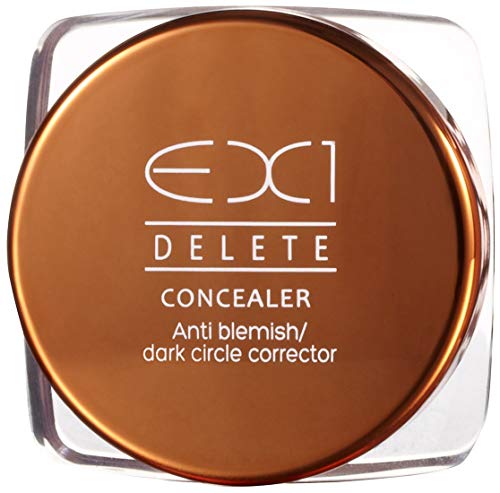 EX1 Cosmetics Delete Concealer (10.0)