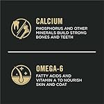 Purina Pro Plan High Protein Puppy Food DHA Lamb & Rice Formula - 34 lb. Bag - Image 3