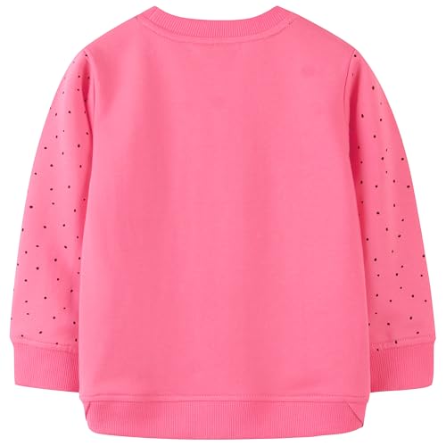 Image of AIWUHE Toddler Cotton Sweatshirt Boys Girls Pullover Long Sleeve Tops 2-6Y