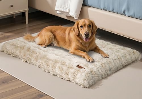 BingoPaw Hundebett Grosse Hunde waschbar: XXL Hundebetten flauschig Plüsch Hundematte für große mittelgroße Hunde, Hundekissen wasserdicht abnehmbar rutschfest Haustierbett Beige, 120x90x12 cm