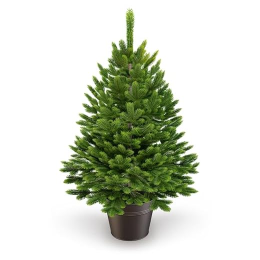ArtiTree - Künstlicher Weihnachtsbaum 60cm im Topf - Christmas Tree für Innen und Außen, Kunstlich Baum für Weihnachtsdeko, Realistische Optik