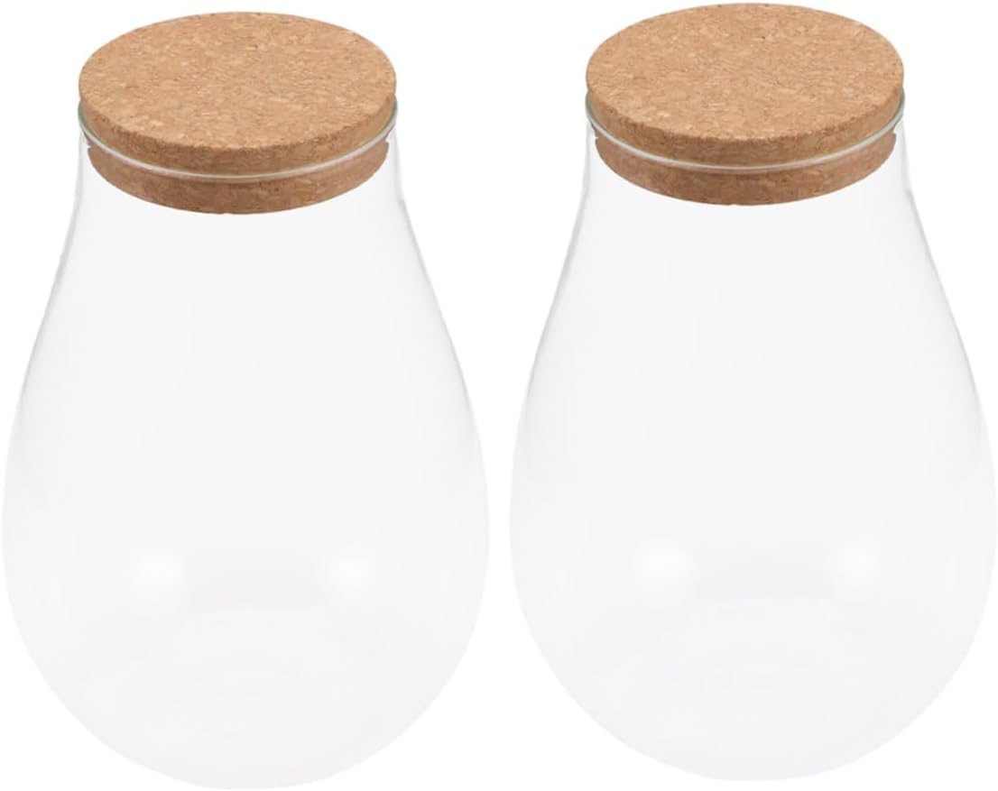 YARNOW DIY Micro Landscape Bottle Glass Air Planter Decorative Bottle for Room