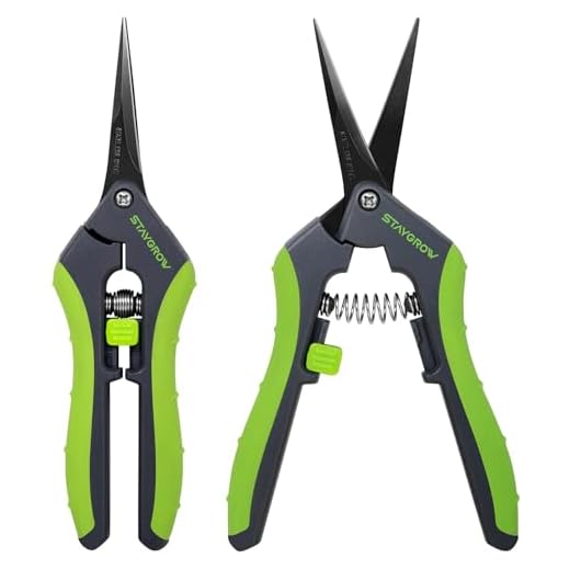 STAYGROW 2pcs 6.5" Pruning Shears for Gardening, Ultra Sharp Garden Scissors for Precise Cuts, Stainless Steel Bonsai Clippers with Spring Loaded, 6.5 Inch Garden Shears (1pc Straight & 1pc Curved)