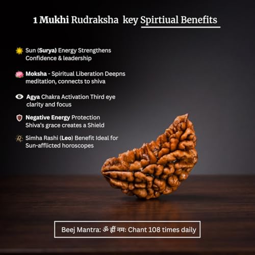 Image of Original 1 Mukhi Original Rudraksha Bead Nepali Origin Lab Certified Symbol of Lord Ganesha Removes Obstacles and Brings Wisdom Meditation, Pooja, Healing for Men & Women