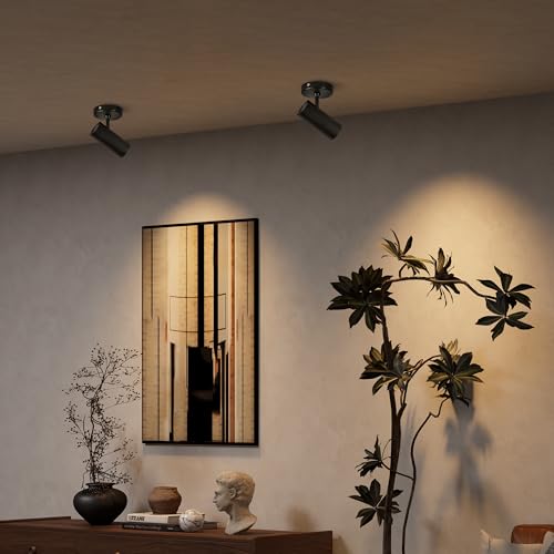 Image of Aisilan 2 Pack LED Modern Directional Dimmable Spot Light Indoor, Adjustable Angle Wired Ceiling Spotlight Lamp for Living Room, Painting, Artwork Accent Lighting - Warm Light 3000K, 9W, CRI 97