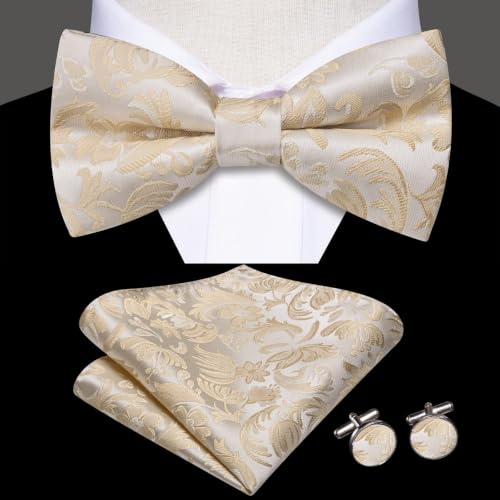 Image of Dubulle Mens Paisley Striped Bowtie Set Pre-tied Bowtie for Men and Pocket Square Set Wedding Business