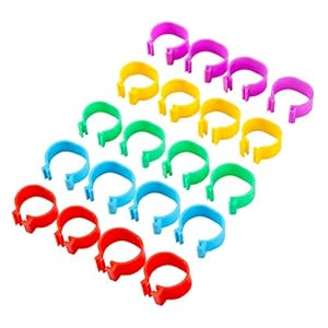Adhere To Fly 200 stuks plastic vleugels beenringen voor kippen, eenden, kip, wiebel, duif, kleine dieren, 5 kleuren, 2…