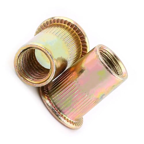 100/20 Stücke M3-M12 Kohlenstoffstahl Flache Gewinde Nietmutter Flansch Rivnut Nutsert Verschluss(M8/20pcs)