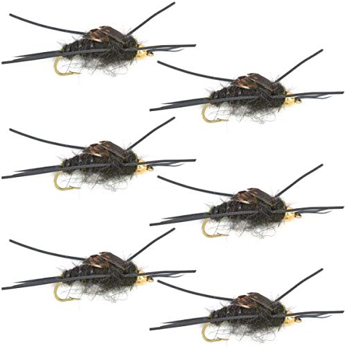 The Fly Fishing Place Bead Head Nymph Fly Fishing Flies - Kaufmann's Black Stone Fly with Rubber Legs - Stonefly Wet Fly - 6 Flies Hook Size 10
