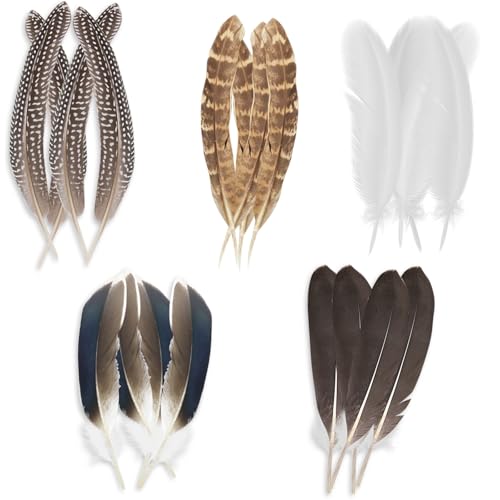 20 piezas de decoraciones de plumas de faisán, 5 estilos de plumas naturales con manchas mixtas, decoraciones de plumas de faisán naturales para hacer sombreros, manualidades, fiestas en casa, bodas