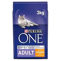 Algopix Similar Product 12 - Purina ONE Coat and Hairball Dry Cat